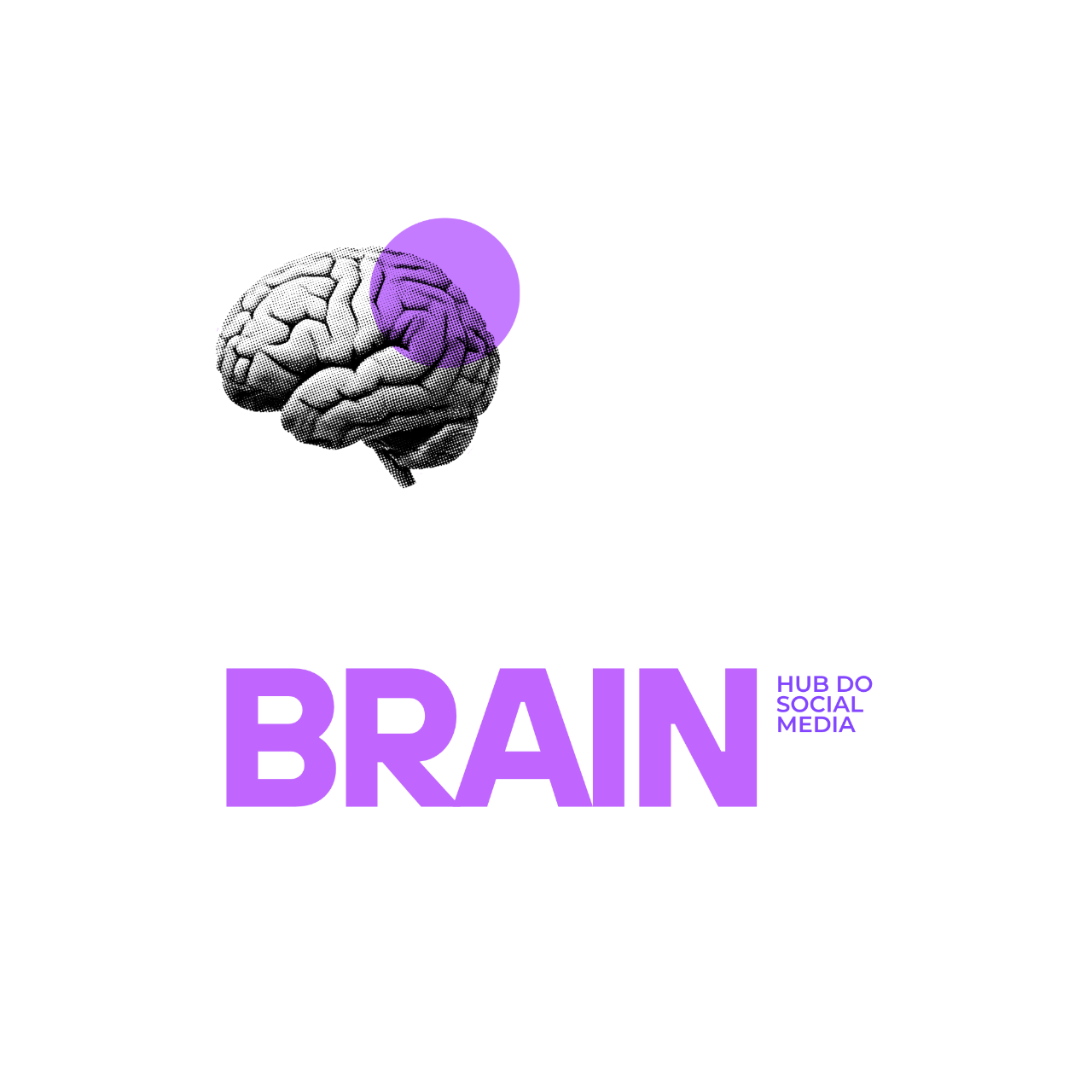 SOCIALBRAIN HUB DO SOCIAL MEDIA